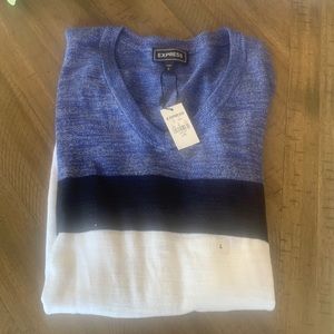 EXPRESS V Neck Sweater.